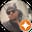 Harpreet Singh